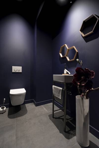 intérieurs toilettes sombres mélange ancien contemporain