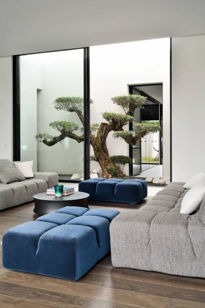 patio intérieur donnant sur salon