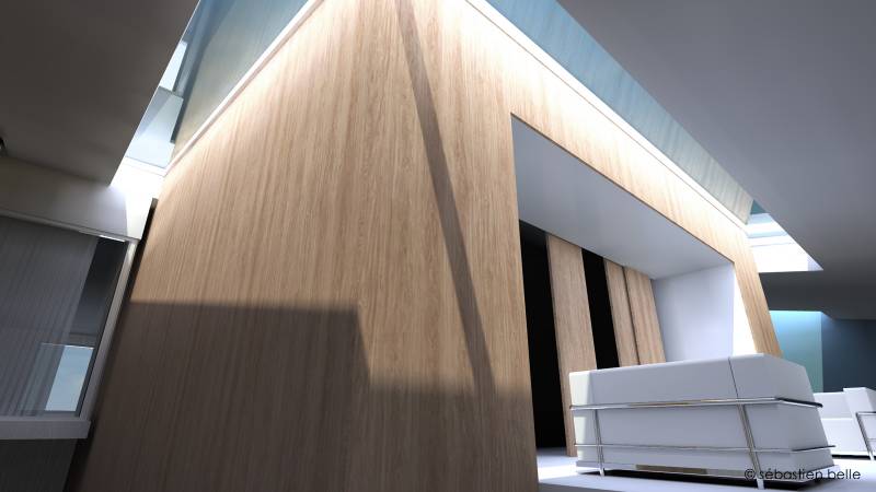 loft original par architecte d'intérieur à Lyon 4